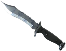 ★ Bowie Knife | Stained (Field-Tested)