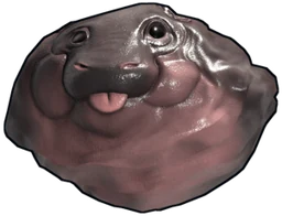 Baby Hippo Rock
