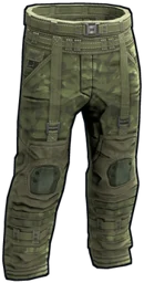 Forest Raiders Pants