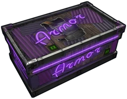 Neon Armor Storage