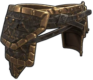 Snap Turtle Pants